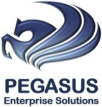 Pegasus Enterprise Solutions