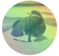 Rawstron Solutions Ltd